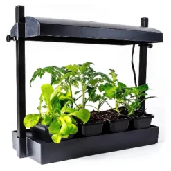 SunBlaster 1600218 T5HO Indoor Canopy Micro Grow Light Garden System With 1, 12-Inch 11-Watt 6400K Strip Light & 1 NanoTech T5 Reflector, Black -OUTSUNNY Sale Store GUEST 02dc1883 af79 4b04 bbf7 467ddc3ca9fc