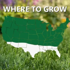 Jonathan Green Pasture Grass Mixture, 50lb (Covers Up To 43,560 Square Feet)