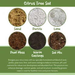 Soil Sunrise Citrus Tree Potting Soil Mix, For Indoor Oranges, Lemons, Limes And More -OUTSUNNY Sale Store GUEST 0632a348 9863 44eb 8954 2f9d4d85a0b2