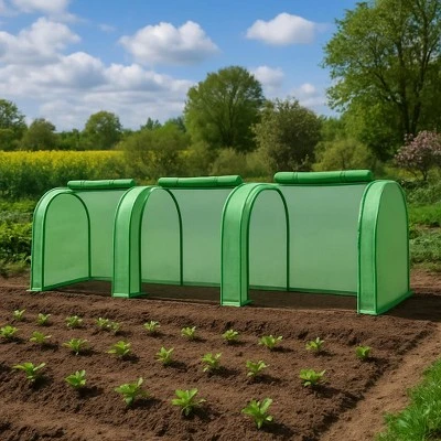 Heavy Duty Walk-in Greenhouse For Outdoors, Large Outdoor Plant Green House With Roll-Up Zipper Door, Reinforced Frame & PE Cover 2 Heavy Duty Walk-in Greenhouse For Outdoors, Large Outdoor Plant Green House With Roll-Up Zipper Door, Reinforced Frame & PE Cover - Image 2