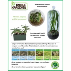 Unique Gardener: Culinary Herb Kit - Grow 5 Herbs In A DIY Biosphere Terrarium 11 Unique Gardener: Culinary Herb Kit - Grow 5 Herbs In A DIY Biosphere Terrarium -OUTSUNNY Sale Store GUEST 0bd8245e d299 4eb1 bf25 279240550ecf