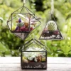 D'Eco Glass Geometric Plant Terrarium 3Pk - Hanging Triangle, House & Prism Planters - Home, Garden & Office Botanical Decor - Gift For Plant Lovers