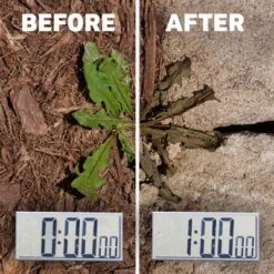 Spruce Ez Aim Weed And Grass Killer 10oz 15 Spruce Ez Aim Weed And Grass Killer 10oz -OUTSUNNY Sale Store GUEST 0f1d752d 63de 47d0 9320 afa6f602983b