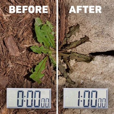 Spruce Ez Aim Weed And Grass Killer 10oz 3 Spruce Ez Aim Weed And Grass Killer 10oz - Image 3