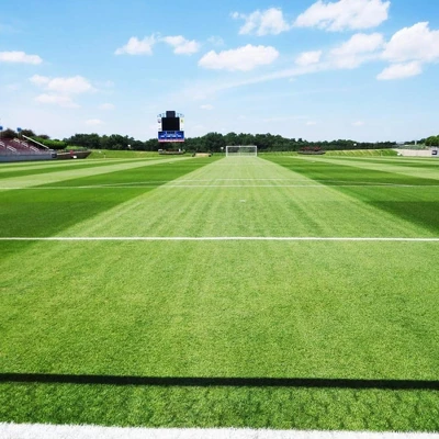 Barenbrug Turf Blue Healthy Grass Technology Lawn Seed Blend With Yellow Jacket Seed Coating, Heavy-Traffic HGT Grass Seed Mix For All Climates, 25lb 4 Barenbrug Turf Blue Healthy Grass Technology Lawn Seed Blend With Yellow Jacket Seed Coating, Heavy-Traffic HGT Grass Seed Mix For All Climates, 25lb - Image 4