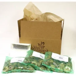 50ct Grape Hyacinths Bulbs - Van Zyverden -OUTSUNNY Sale Store GUEST 13206e6a e4b1 4f90 a751 22b8d96bb671