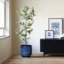 LuxenHome 12-Inch Ocean Blue Ceramic Planter Indoor Outdoor Plant Pot With Drainage Hole And Plug Modern Glazed Round Flower Pot Planter 10 LuxenHome 12-Inch Ocean Blue Ceramic Planter Indoor Outdoor Plant Pot With Drainage Hole And Plug Modern Glazed Round Flower Pot Planter -OUTSUNNY Sale Store GUEST 136a9560 fd3e 4838 a516 c8ceb53ad624