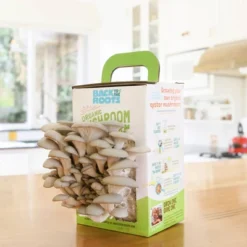 Back To The Roots Organic Mushroom Mini Grow Kit Pearl Oyster -OUTSUNNY Sale Store GUEST 14af7100 855c 4d85 be8b ca6ce390920d