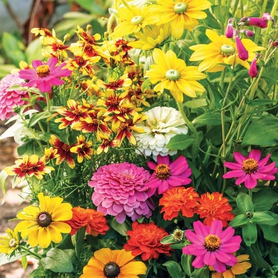 Collections Etc Roll Out Flower Seeded Mats That Attract Butterflies - Set Of 2 1 Collections Etc Roll Out Flower Seeded Mats That Attract Butterflies - Set Of 2