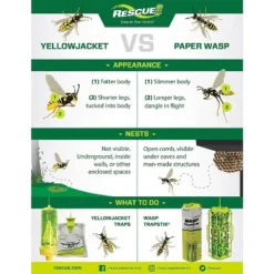 RESCUE! Yellowjacket Attractant � 4 Week Supply - 2 Pack 10 RESCUE! Yellowjacket Attractant � 4 Week Supply - 2 Pack -OUTSUNNY Sale Store GUEST 168d6996 1a72 46e8 86a5 a5cdb14a4889