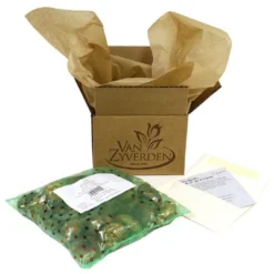 Van Zyverden Allium Purple Giganteum Flower Bulb -OUTSUNNY Sale Store GUEST 173d033c 2a9d 49e2 aac7 fc87c07d5dac 1