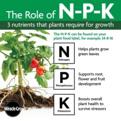 Miracle-Gro Organics Plant Food Granules Fertilizer 3lbs 22 Miracle-Gro Organics Plant Food Granules Fertilizer 3lbs -OUTSUNNY Sale Store GUEST 18f3d995 61ee 4567 97c3 b006abff9f03