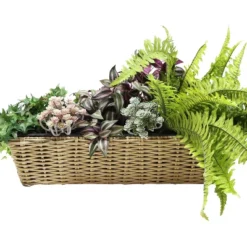 Sunnydaze Decor Sunnydaze Hanging Rectangle Polyrattan Rail Planter With Plastic Liner - 23.5" W X 7.5" D X 6.5" H 14 Sunnydaze Decor Sunnydaze Hanging Rectangle Polyrattan Rail Planter With Plastic Liner - 23.5" W X 7.5" D X 6.5" H -OUTSUNNY Sale Store GUEST 1ad88708 b0ad 451a aa5e a9fe287e962b