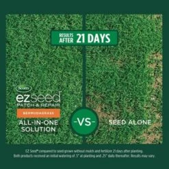 Scotts EZ Seed Bermudagrass 3.75lb Jug: Quick Germination, Sun/Shade Mix, Lawn Revitalization -OUTSUNNY Sale Store GUEST 1f3f7621 520d 46c2 bd78 f537ee1a29ce