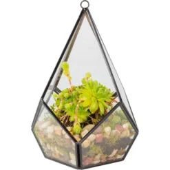 D'Eco Glass Geometric Plant Terrarium (5.7x5.7x7) - Indoor Tabletop & Hanging Teardrop Planter Holiday Decor - Christmas Gift For Plant Lovers -OUTSUNNY Sale Store GUEST 21db12de 075f 4b20 aef5 13ce5500076b