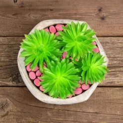 Garden Stones-500 Count Glow In The Dark Solar Pathway Pebble Lights-Decorative Glowing Rocks By Nature Spring (Yellow) 8 Garden Stones-500 Count Glow In The Dark Solar Pathway Pebble Lights-Decorative Glowing Rocks By Nature Spring (Yellow) -OUTSUNNY Sale Store GUEST 2cb44203 cb3a 478f 8d2d 570a4555aca8