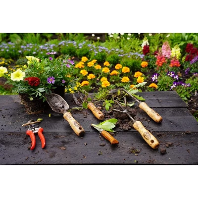 DeWit Welldone Serrated Trowel – Heavy-Duty Multi-Use Garden Tool, 13”L 4 DeWit Welldone Serrated Trowel – Heavy-Duty Multi-Use Garden Tool, 13”L - Image 4