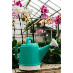 2.5gal Deluxe Watering Can - Bloem -OUTSUNNY Sale Store GUEST 2fc35430 ec12 4ca9 b12f 81ee92da5796