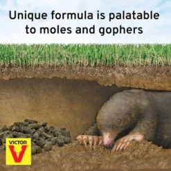 Victor Mole & Gopher Poison Peanuts – Effective And Easy-to-Use Pest Control Solution For Moles And Gophers, 6oz -OUTSUNNY Sale Store GUEST 36b5520b d7f4 4700 970f abc3155512e9