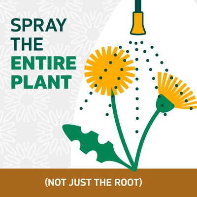 Spruce Weed And Grass Killer Refill 64oz 9 Spruce Weed And Grass Killer Refill 64oz - Image 9