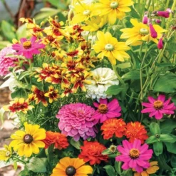 Collections Etc Roll Out Flower Seeded Mats That Attract Butterflies - Set Of 2 8 Collections Etc Roll Out Flower Seeded Mats That Attract Butterflies - Set Of 2 -OUTSUNNY Sale Store GUEST 38560af1 0a91 4214 b23d 7645cf930dfc