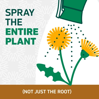 Spruce Ez Aim Weed And Grass Killer 10oz 9 Spruce Ez Aim Weed And Grass Killer 10oz - Image 9