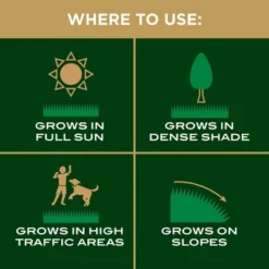 Scotts EZ Seed Sun & Shade 10lb: Patch & Repair, Tackifier, Quick Germination -OUTSUNNY Sale Store GUEST 3c6c0979 b447 4d1d a80b 9cb88a7cfc3f