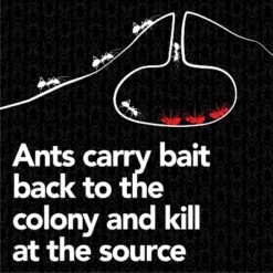 Raid Max Liquid Ant Baits Insecticides - 8ct 16 Raid Max Liquid Ant Baits Insecticides - 8ct -OUTSUNNY Sale Store GUEST 3cfb4c16 c50c 4874 87e7 de8455342473