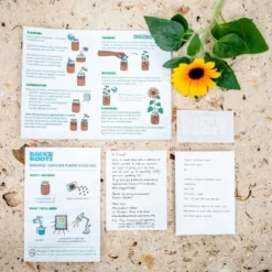 Back To The Roots Organic Sunflower Grow Kit -OUTSUNNY Sale Store GUEST 4135958c b71c 4ba1 beff 5c992cca4459