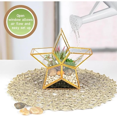 D'Eco Glass Star Terrarium- Tabletop Geometric Planter- Succulents, Moss & More- Home Garden Office Decor- Gift For Mother's Day (Terrarium Only) 1 D'Eco Glass Star Terrarium- Tabletop Geometric Planter- Succulents, Moss & More- Home Garden Office Decor- Gift For Mother's Day (Terrarium Only)