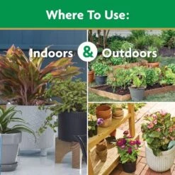 Miracle-Gro Water Soluble All Purpose Plant Food 1.5lb: Nutrient-Rich Formula For Healthy Growth, Fast Release -OUTSUNNY Sale Store GUEST 4c8e883e a110 4376 8d41 87af76b3e5c4