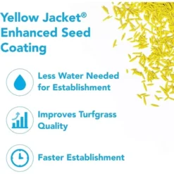 Barenbrug Turf Blue Healthy Grass Technology Lawn Seed Blend With Yellow Jacket Seed Coating, 10lb -OUTSUNNY Sale Store GUEST 4d3f0a1b 4990 4eb6 a1a7 9737e03cccdb