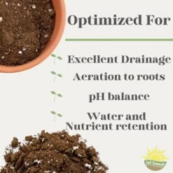 Soil Sunrise 8qt Succulent Potting Soil Mix, Custom Blend -OUTSUNNY Sale Store GUEST 507e9032 0de4 40c1 bb09 fb4355197091