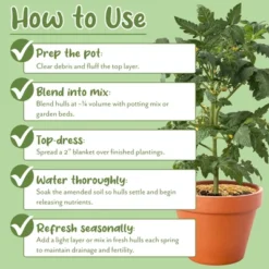 Soil Sunrise Horticultural Grade Rice Hulls; For House Plants And Chicken Bedding -OUTSUNNY Sale Store GUEST 55e1704f bc13 4cfc 8a98 3dd3b2d3a54f