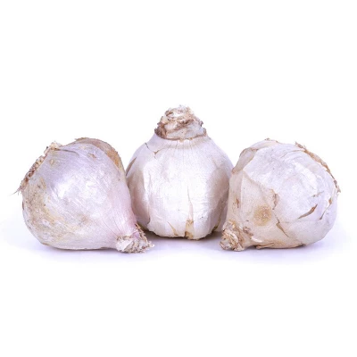 Van Zyverden 3ct Cloves Garlic Softneck Silverskin Silver Rose 5 Van Zyverden 3ct Cloves Garlic Softneck Silverskin Silver Rose - Image 5