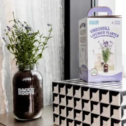 Back To The Roots Organic Lavender Grow Kit -OUTSUNNY Sale Store GUEST 5c28df74 fc68 4cf3 9e12 3963a13766f1