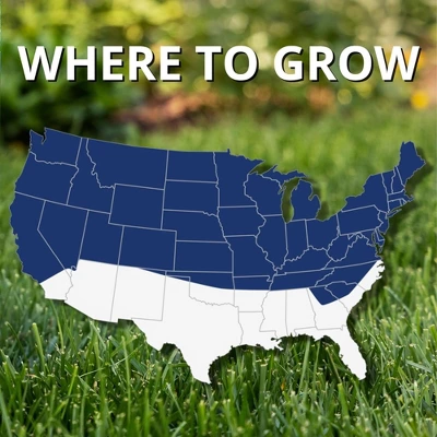 Jonathan Green Black Beauty Ultra Grass Seed Mix, 50lb 2 Jonathan Green Black Beauty Ultra Grass Seed Mix, 50lb - Image 2