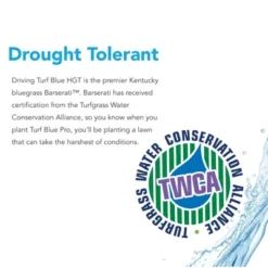 Barenbrug Turf Blue Healthy Grass Technology Lawn Seed Blend With Yellow Jacket Seed Coating, Heavy-Traffic HGT Grass Seed Mix For All Climates, 25lb