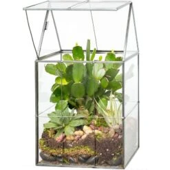 D'Eco Glass Geometric Terrarium For Succulent & Air Plant-Hinged Roof Shaped For Indoor Gardening Decor- Create Your Own Centerpiece (Large 5"x6"x11") -OUTSUNNY Sale Store GUEST 63dec60b d33f 4ae5 936a 07494c9a9e67