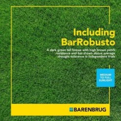 Barenbrug Turf Savor RTF Grass Seed Blend With Yellow Jacket Seed Coating, 10lb
