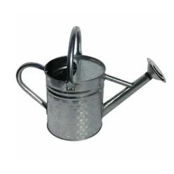 Gardener Select Galvanized Watering Can, Silver, 0.5 Gallon