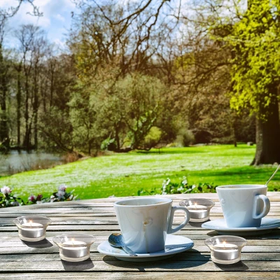 50pc Citronella Tealight Candles White - Stonebriar Collection: Repels Insects, Ideal For Outdoor Use & Poolside 2 50pc Citronella Tealight Candles White - Stonebriar Collection: Repels Insects, Ideal For Outdoor Use & Poolside - Image 2