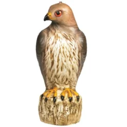 Bird-B-Gone Bird Deterrent Decoy For Red Tailed Hawks