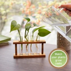 D'Eco Glass Plant Propagation Station (Set Of 4 Tubes W Wooden Display) - Grow Hydroponic Plants - Holiday Christmas Gift For Plant Lovers