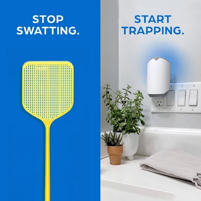 Zevo Indoor Flying Insect Trap Starter Kit For Fruit Flies, Gnats, And House Flies - 4ct 5 Zevo Indoor Flying Insect Trap Starter Kit For Fruit Flies, Gnats, And House Flies - 4ct - Image 5