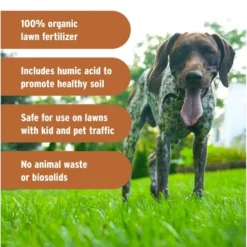 The Andersons Lawnbox Fall Fix 5-5-5 8 The Andersons Lawnbox Fall Fix 5-5-5 -OUTSUNNY Sale Store GUEST 7a98bc48 7ec2 4ac5 be7c 30eee97ca5c2