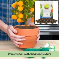 Soil Sunrise Citrus Tree Potting Soil Mix, For Indoor Oranges, Lemons, Limes And More -OUTSUNNY Sale Store GUEST 7db0b6b5 225e 4a1a a1d7 6c1220f48bb2