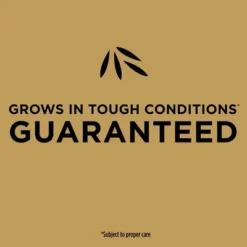 Scotts EZ Seed Bermudagrass 3.75lb Jug: Quick Germination, Sun/Shade Mix, Lawn Revitalization -OUTSUNNY Sale Store GUEST 807fc1b2 ed2a 4d04 ad43 f03ac58f3229