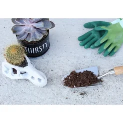 Soil Sunrise 8qt Succulent Potting Soil Mix, Custom Blend -OUTSUNNY Sale Store GUEST 82cc3210 1e94 4557 b3cf 8b93bf0f23ea
