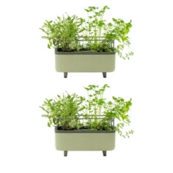 Vego Garden Twin Pack Self-Watering Herb Planter Box With Trellis Rectangular Indoor Outdoor Planter Pots 7.3"x17.5"x10.5" -OUTSUNNY Sale Store GUEST 838a3c55 8abc 45d8 816f 2da0fcb5ae93